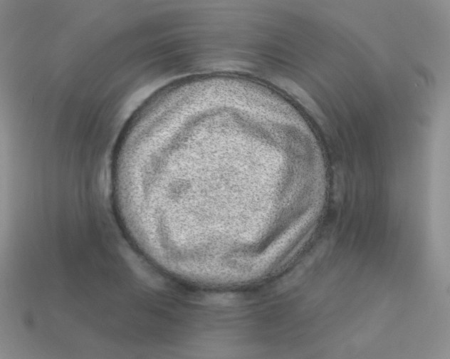 X0000113631031200910162011