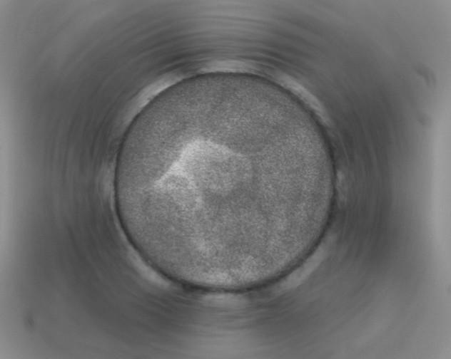 X0000113631033200910162011