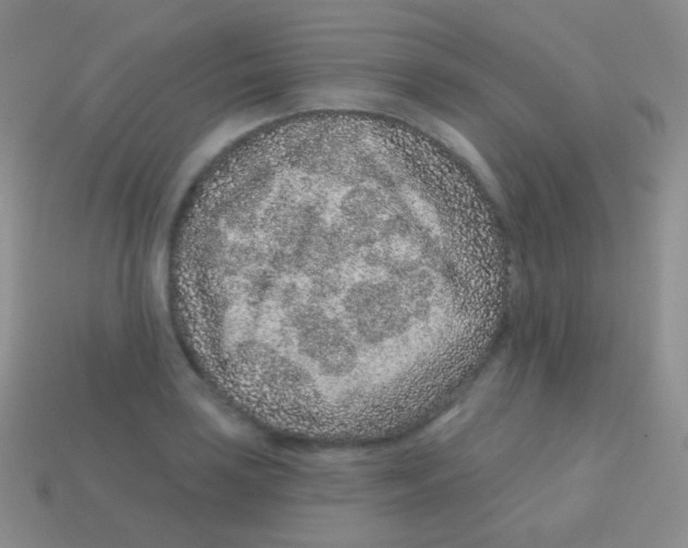 X0000113631035200910162011