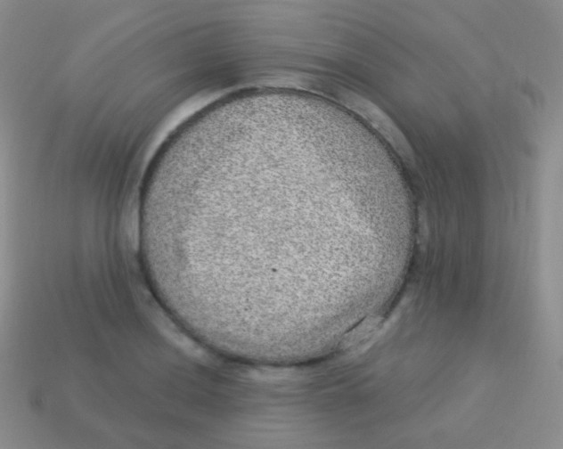 X0000113631036200910162011