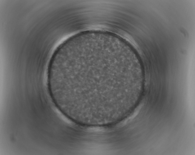 X0000113631037200910162011