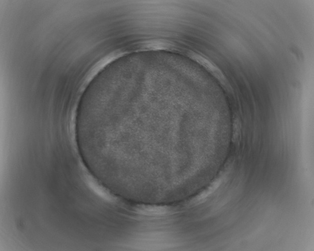 X0000113631039200910162011