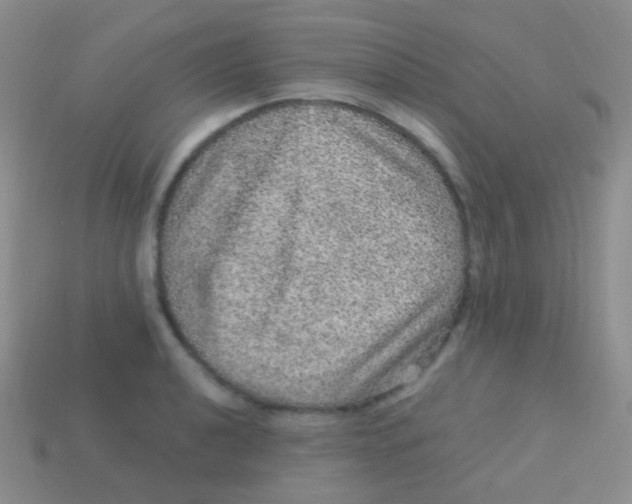 X0000113631040200910162011