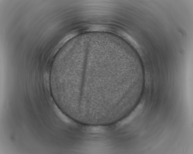 X0000113631041200910162011