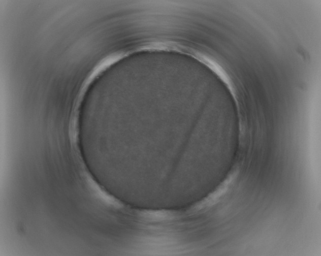 X0000113631045200910162011