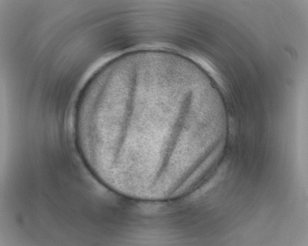 X0000113631046200910162011