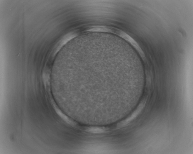 X0000113631049200910162011