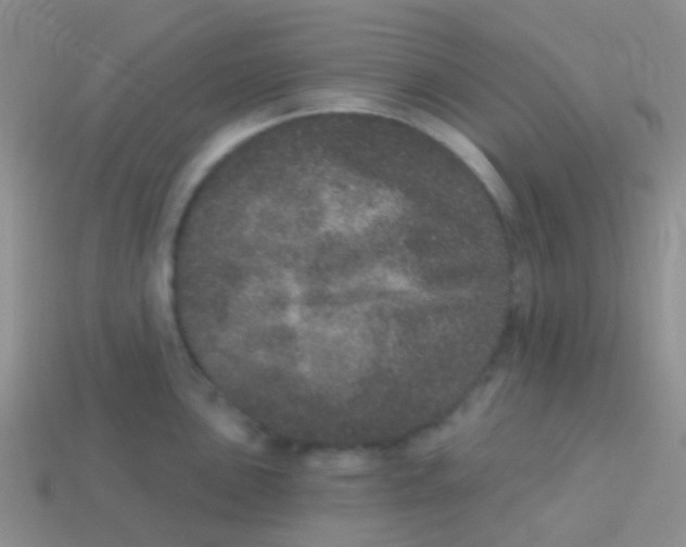 X0000113631051200910162011