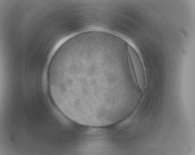 X0000113631056200910162011