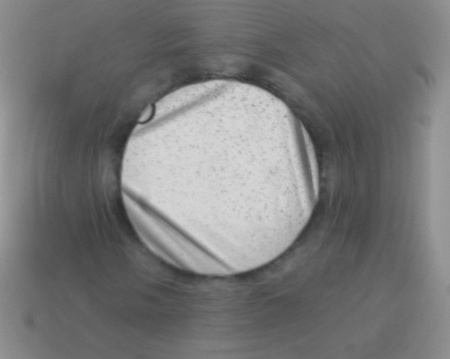 X0000113631058200910162010