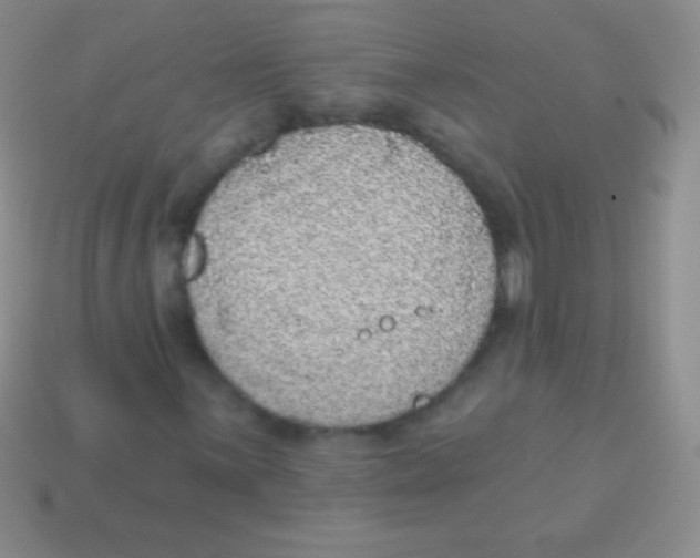 X0000113631059200910162010