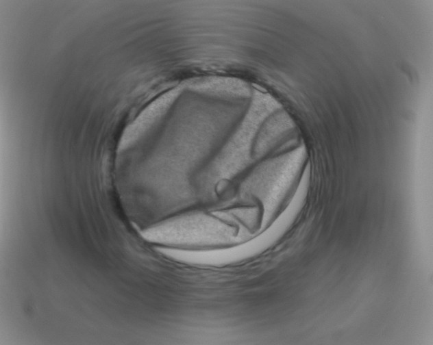 X0000113631060200910162010