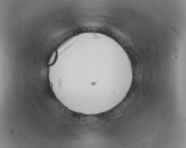 X0000113631061200910162010