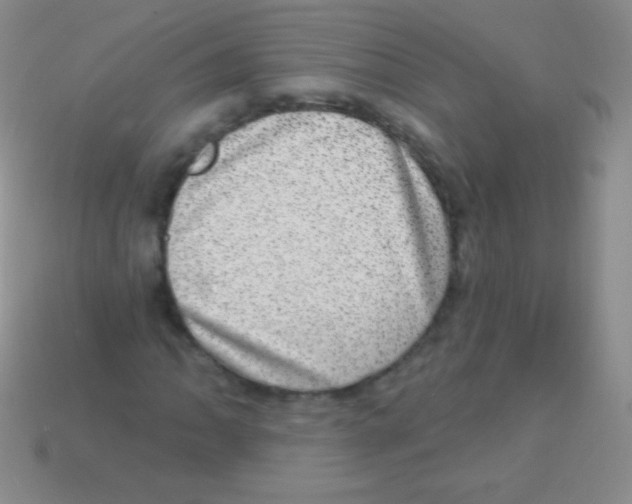 X0000113631062200910162010