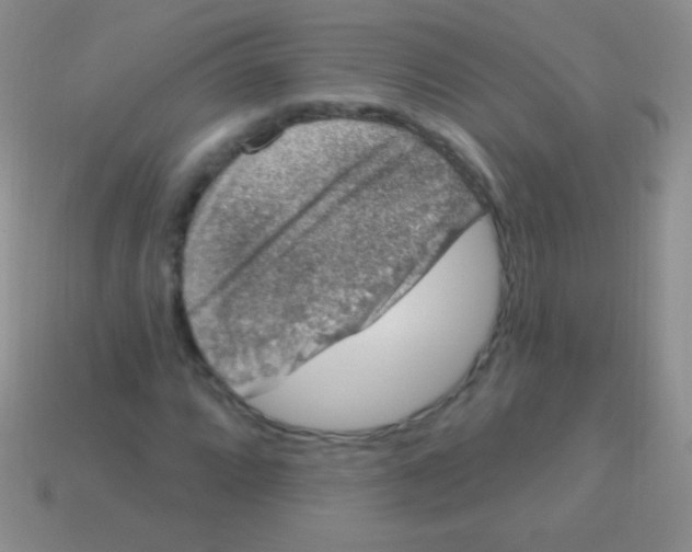 X0000113631064200910162010