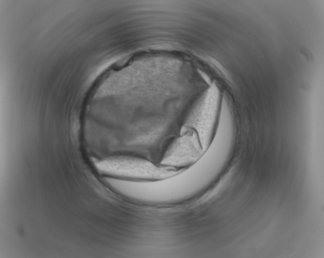 X0000113631065200910162010