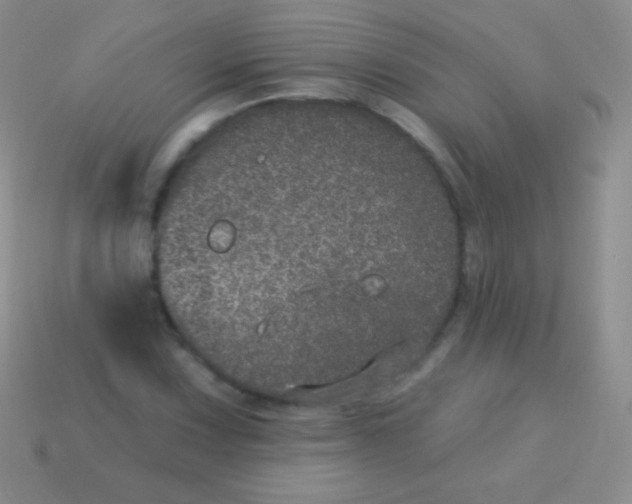 X0000113631067200910162010