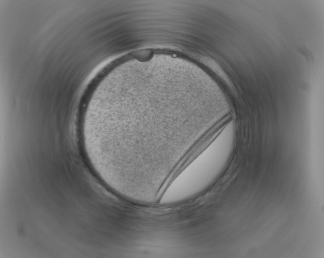 X0000113631068200910162010