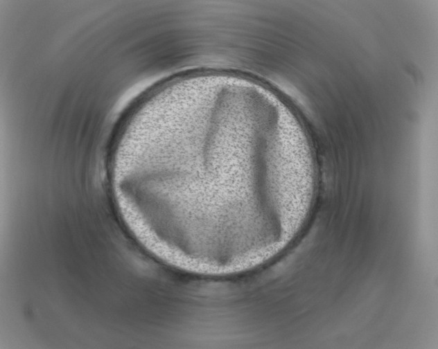 X0000113631070200910162010