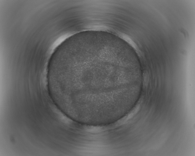 X0000113631071200910162010