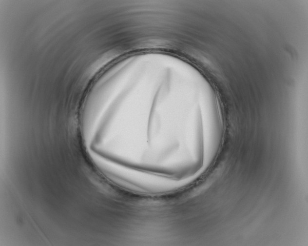 X0000113631073200910162010