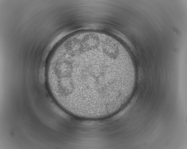 X0000113631075200910162010