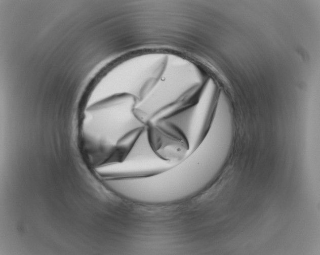 X0000113631076200910162010