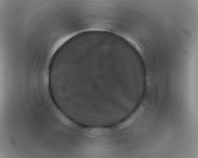 X0000113631077200910162010