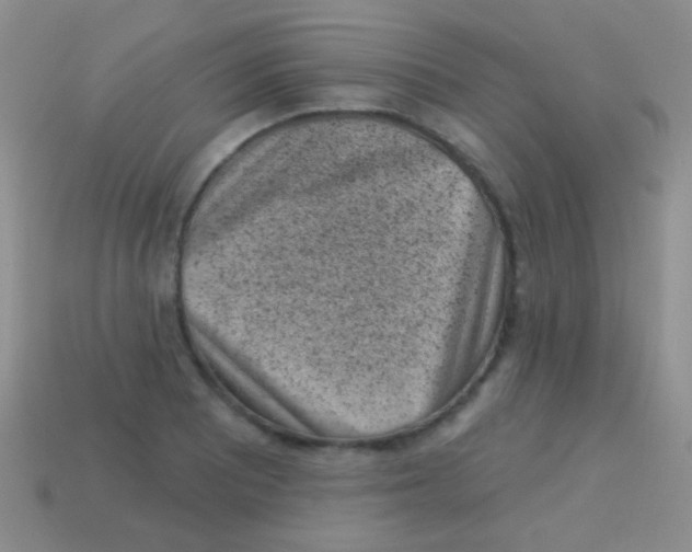 X0000113631081200910162010