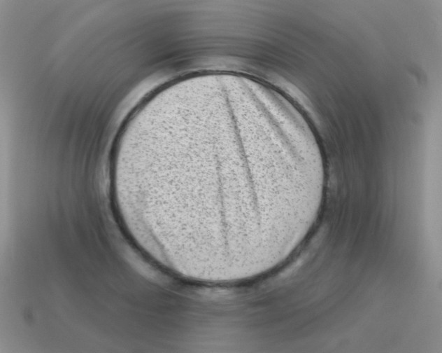 X0000113631082200910162010