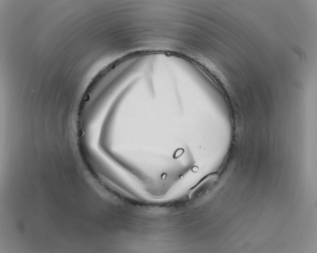 X0000113631085200910162010