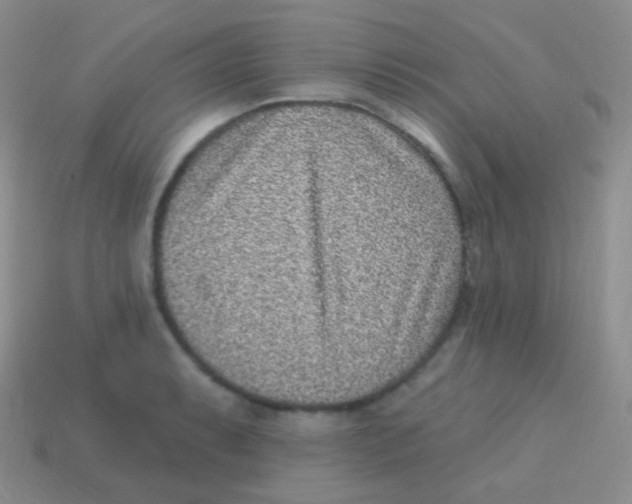 X0000113631087200910162010