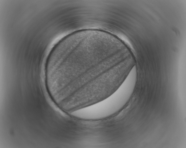 X0000113631088200910162010