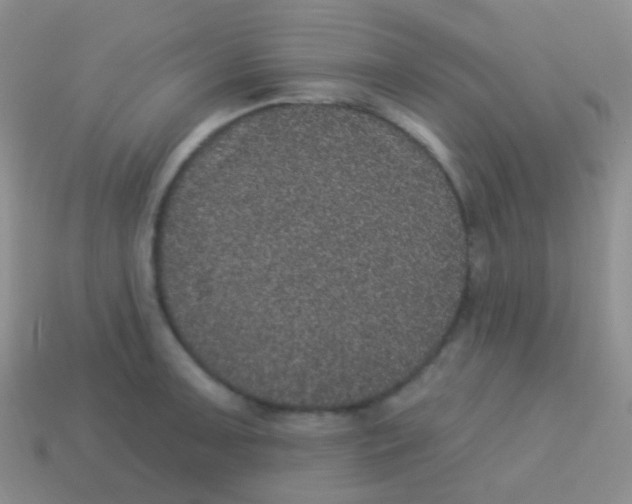 X0000113631091200910162010