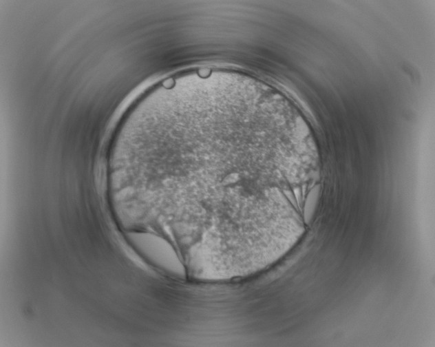 X0000113631092200910162010