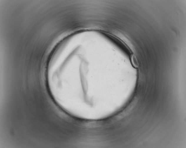 X0000113631093200910162010