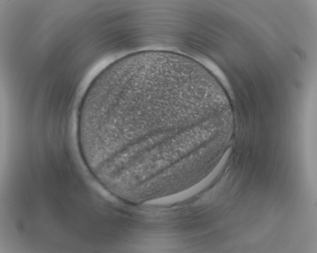 X0000113631096200910162010