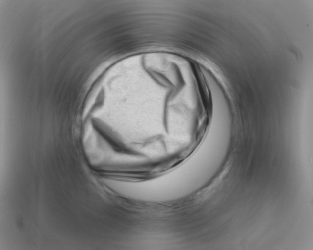 X0000113631097200910162010