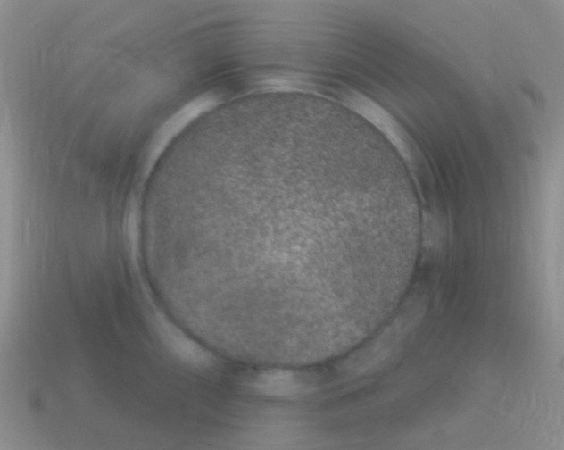 X0000113631098200910162010