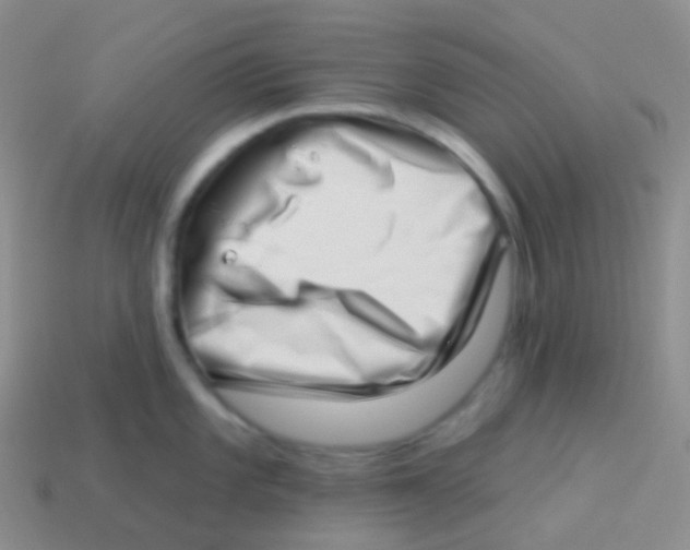 X0000113631101200910162010