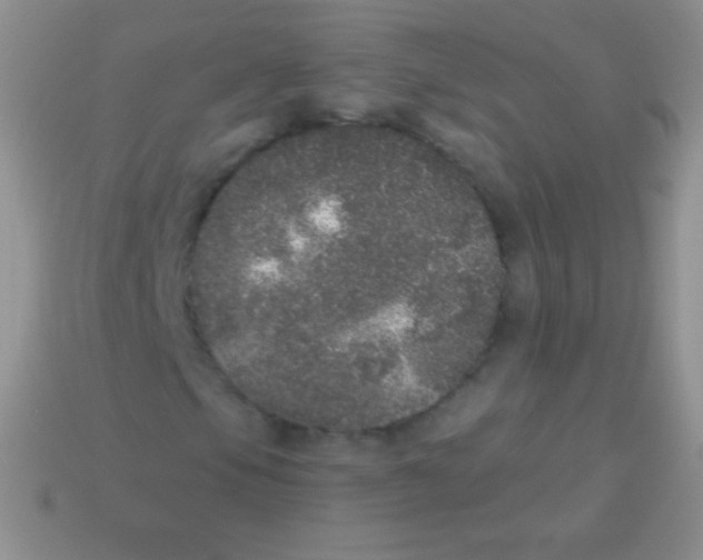 X0000113631105200910162009