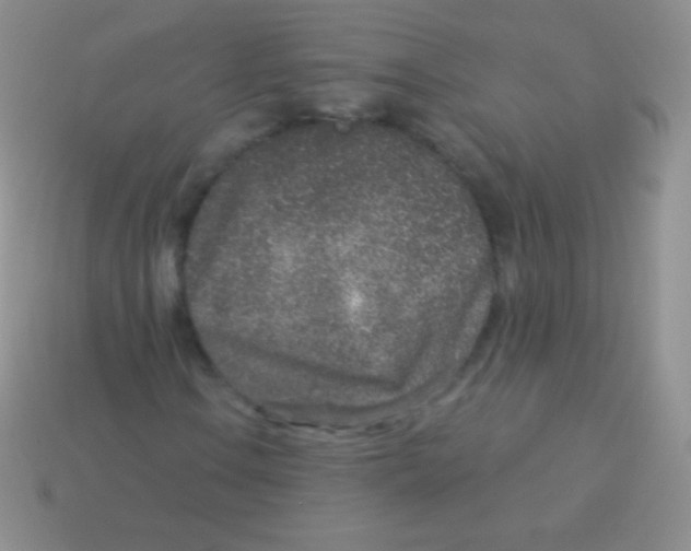 X0000113631106200910162009