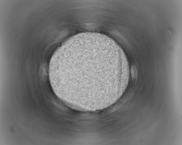 X0000113631107200910162009