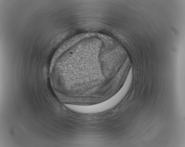 X0000113631108200910162009