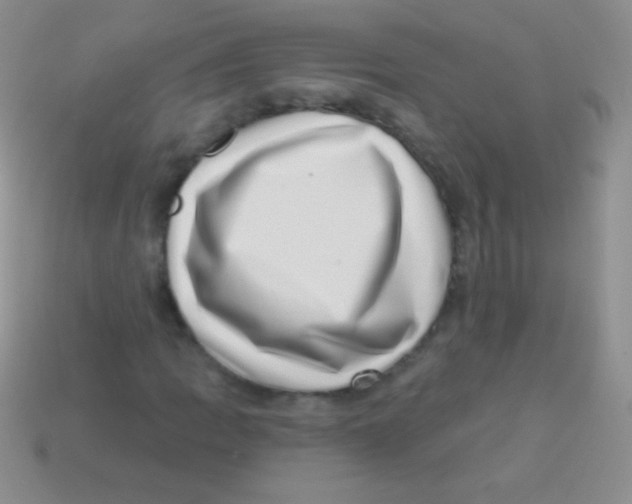 X0000113631109200910162009