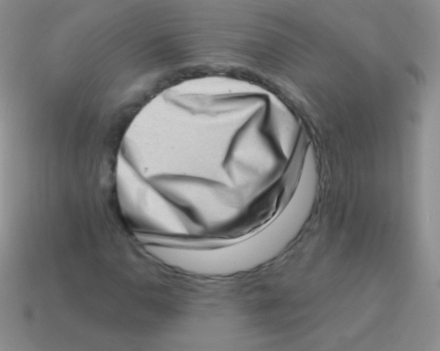 X0000113631110200910162009