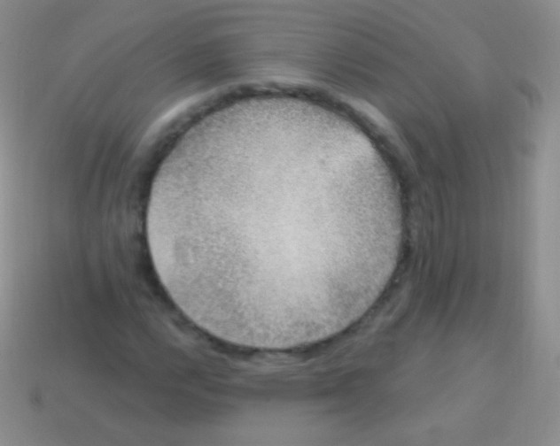 X0000113631112200910162009