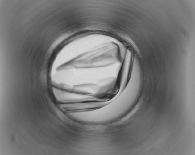 X0000113631114200910162009