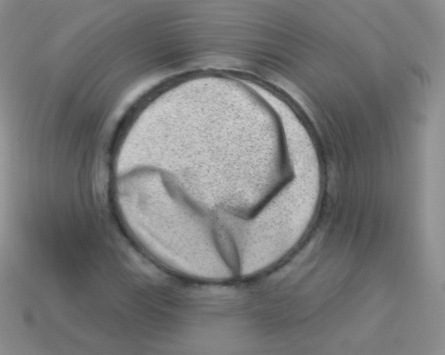 X0000113631115200910162009