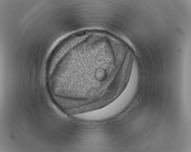 X0000113631116200910162009